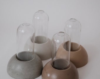 Dome Glass Vase Nordic Design Propagation Station - Concrete Neutral Colors Minimalist - Artisan Made