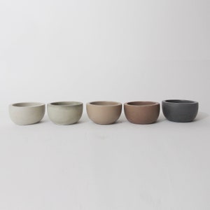 May include: Five small, round concrete bowls in different colors: white, light green, beige, brown, and gray. The bowls are arranged in a row from left to right.