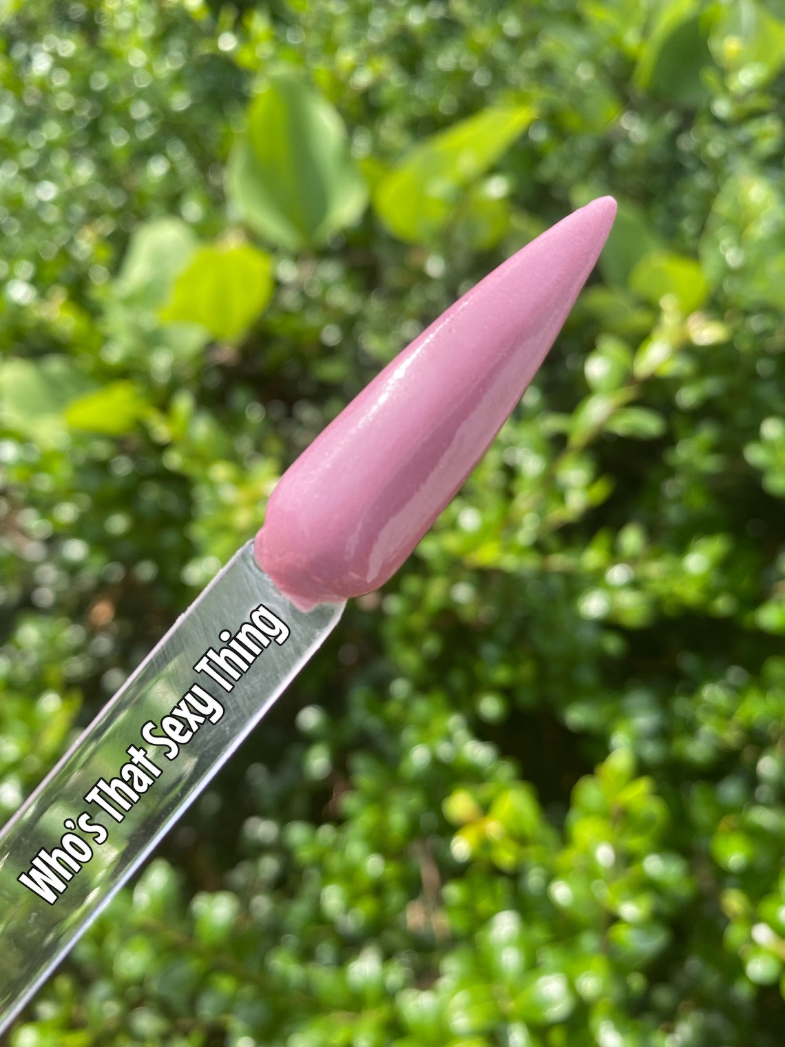 Neutral Pink Dip Powders Chunky Glitter Dip Powder Etsy UK