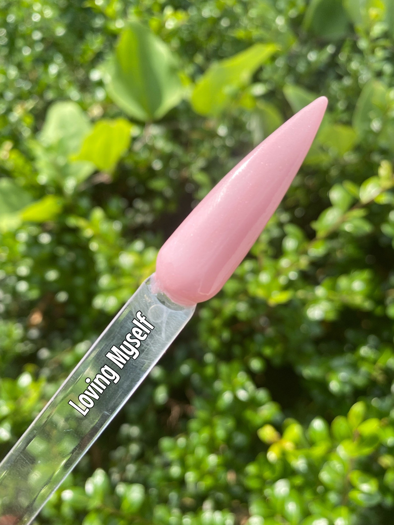 Neutral Pink Dip Powders Chunky Glitter Dip Powder Etsy UK