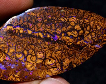 May include: A large, irregularly shaped piece of opal with a brown and black matrix. The opal has a vibrant purple and blue iridescence.