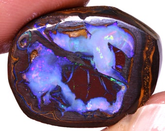 23.60cts Natural Australian Yowah Boulder Opal Nut Rough DO-4955