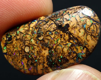 May include: A polished, oval-shaped opal with a unique pattern. The stone features a base of tan and brown hues, overlaid with a network of dark lines. Iridescent flashes of green, blue, and purple are scattered throughout the surface.
