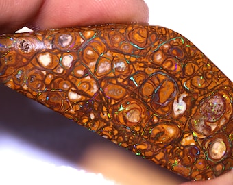 106cts Australian Yowah Boulder Opal Pre Shaped Rough DO-4939