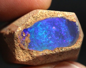Beautiful Natural Gem Australian Boulder Pipe Opal Raw Rough DO-4432