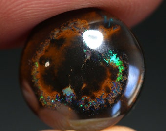 May include: A polished, dark brown opal with iridescent flashes of green, blue, and orange. The gemstone has a rounded shape and a reflective surface, showcasing a play of color. The opal's surface has a unique pattern, adding to its visual appeal.