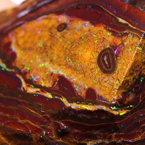 Könnte beinhalten: Nahaufnahme eines polierten Opal-Edelsteins. Der Stein weist Schichten aus braunen, goldenen und roten Farbtönen mit schillernden Blitzen in Grün, Blau und Lila auf. Der Opal hat ein einzigartiges, organisches Muster.