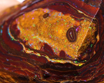 Australian Natural Boulder Opal Nut Rough From Opalton DO-3367