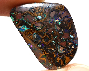 May include: A polished, irregularly shaped opal gemstone. The stone features a dark brown base color with intricate patterns of gold, green, blue, and iridescent flashes. The opal is held between two fingers, showcasing its unique color and texture.