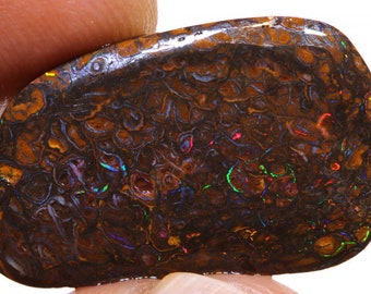 Koroit Boulder Opale brute DO-1584