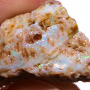 RARE COLLECTORS Opalized Septarian Formations Fossil