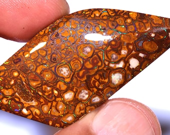 59cts Australian gem Yowah Boulder Opal Pre Shaped Rough DO-4938