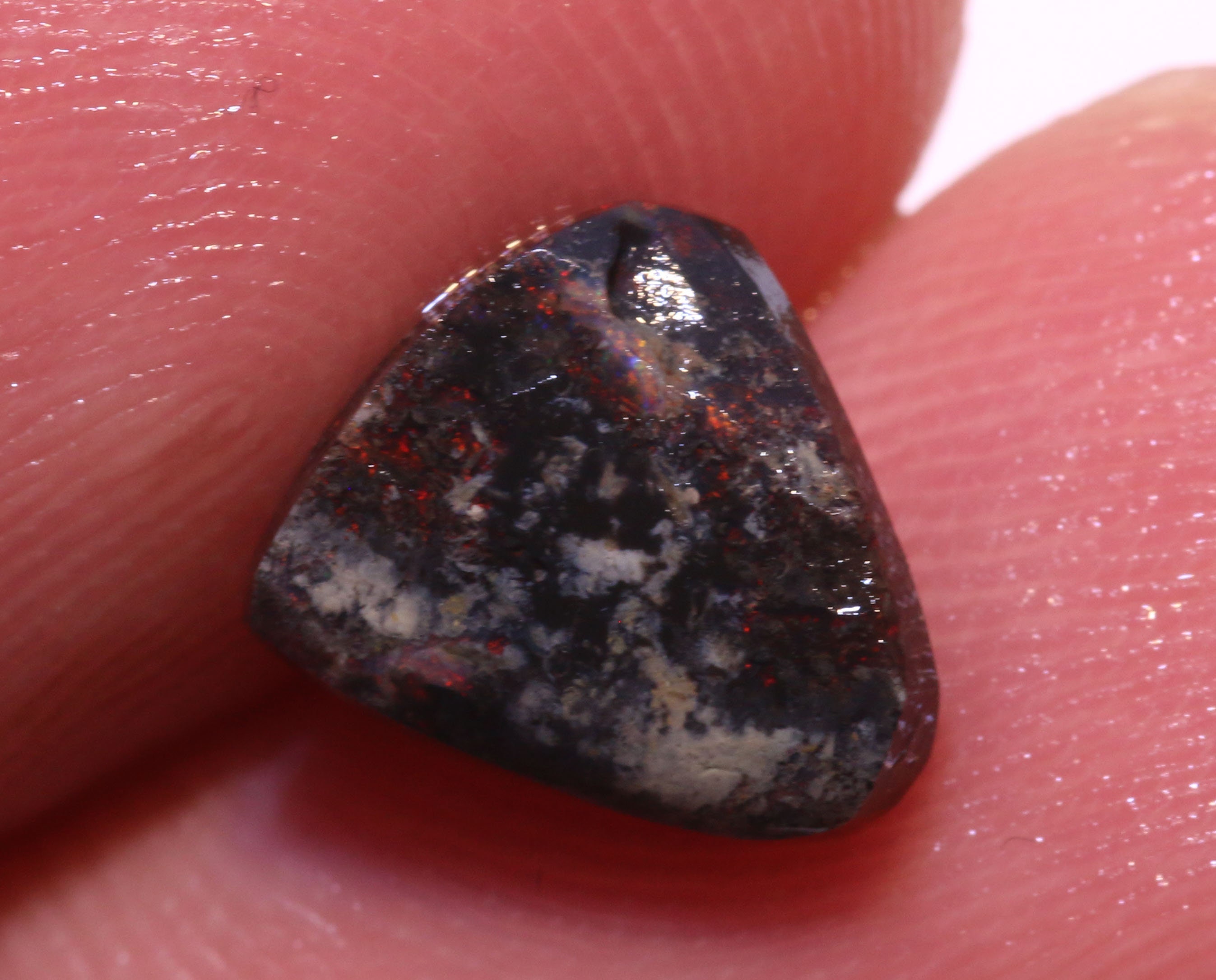 Gem Quality Red Colour Lightning Ridge Black Opal Rub Rough DO