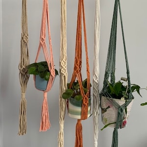 May include: Five macrame plant hangers in different colours, including beige, pink, white, orange, and green. Each hanger has a wooden ring at the top and a tassel at the bottom. The hangers are holding small potted plants.