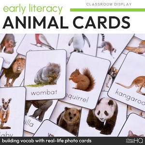 Flashcards com fotos de animais