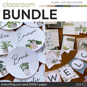 PLANT LIFE Classroom Decor Bundle | Leafy Potted Indoor Plant Classroom Decor