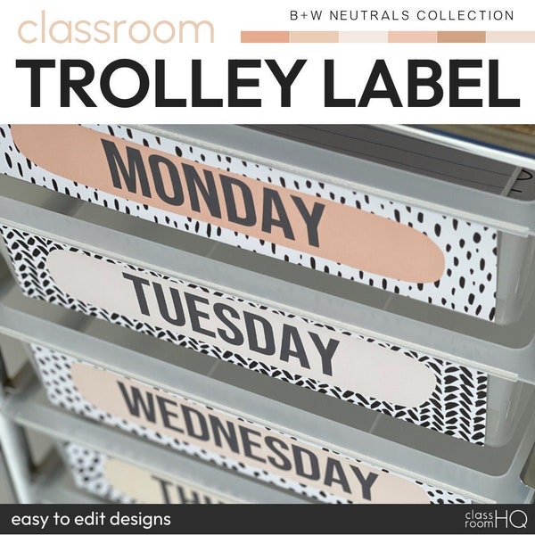Neutral Classroom Decor 10 Drawer Rolling Cart Teacher Trolley Labels | B+W NEUTRALS Collection