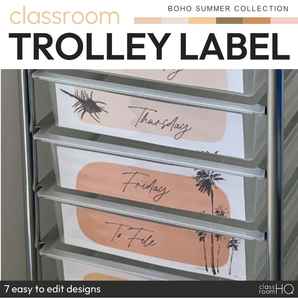 Modern Neutral Boho Theme Classroom Decor Editable 10 Drawer Rolling ...
