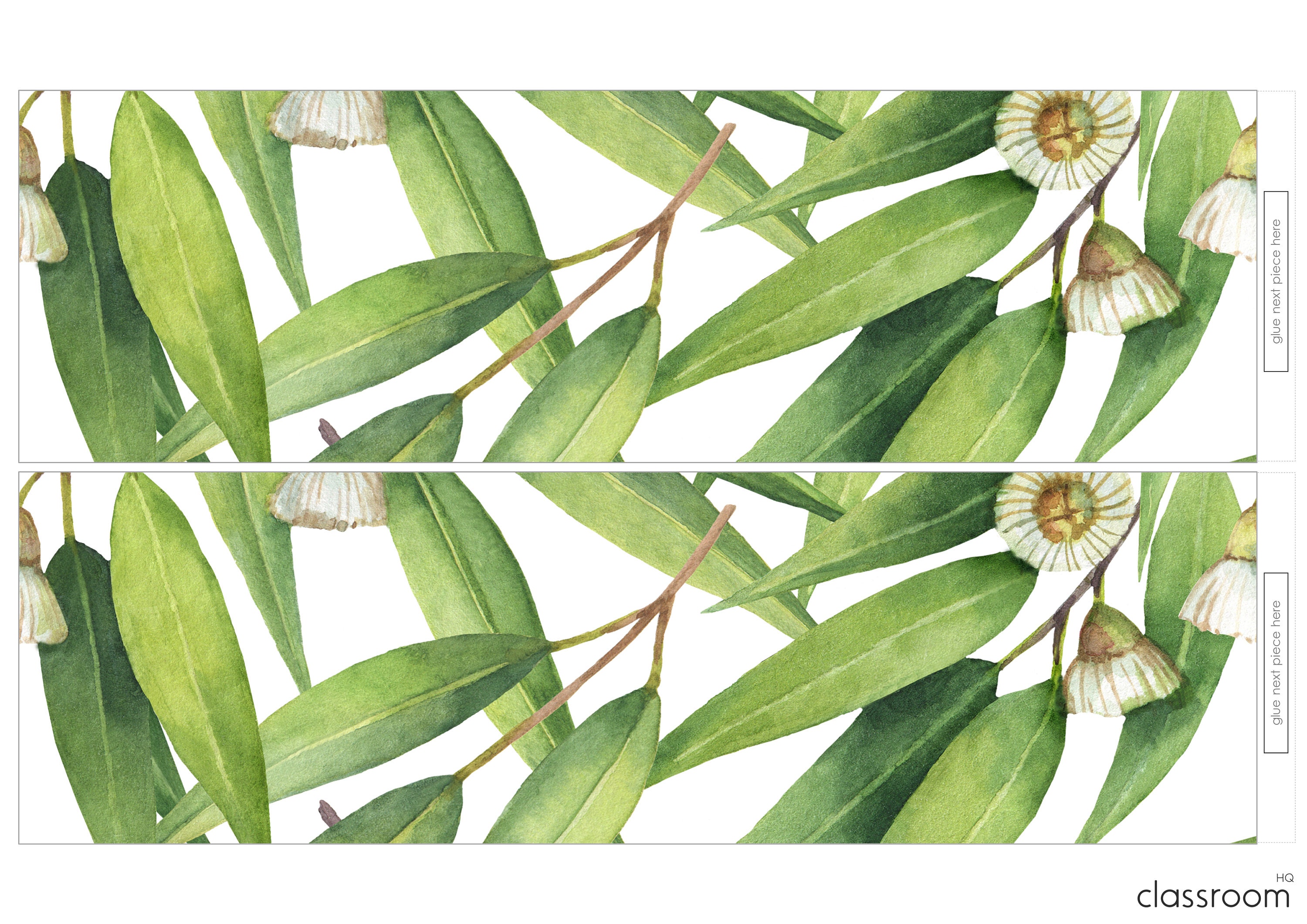 Classroom Bulletin Board Borders | Eucalyptus GUM LEAF Classroom Decor ...