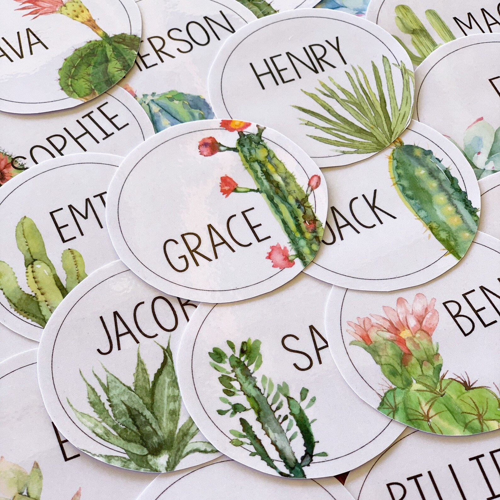 CACTUS Classroom Decor Bundle Etsy