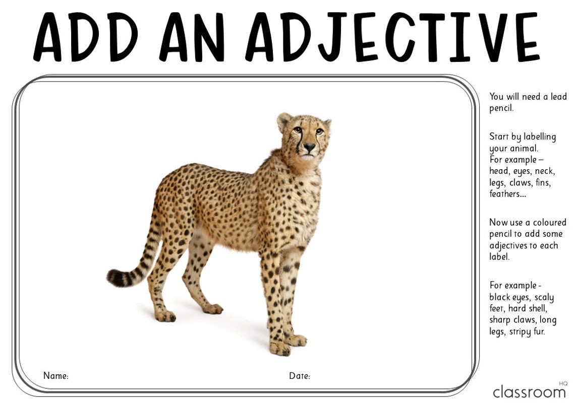 Add an Adjective Writing Task | Non Fiction Informational Text - Etsy