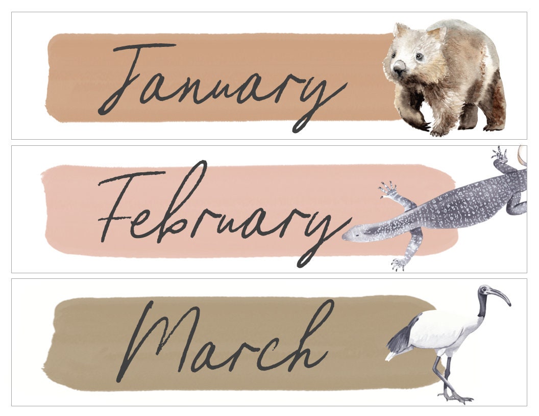 MODERN AUSSIE Classroom Wall Calendar | Australian Themed Classroom ...