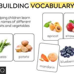 Fruit Vegetable Photo Picture Flashcards - Etsy