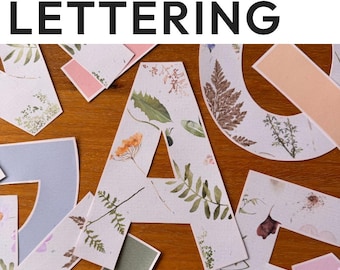 Editable Bulletin Board Lettering Pack | COTTAGECORE Classroom Decor