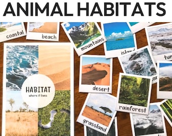 Animal Habitats Poster & Word Wall | Habitat Vocabulary Nonfiction Science K-2