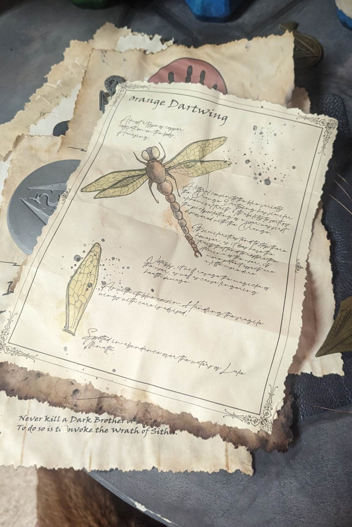 Door Skyrim geïnspireerd Orange Dartwing Ingredient Reagent - Alchemy, image size:1152x1724