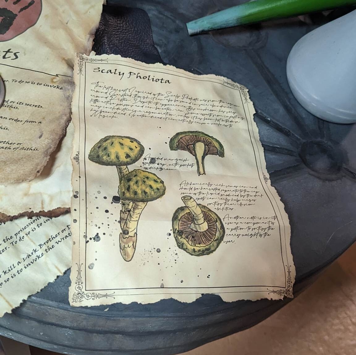 Skyrim Geïnspireerd Scaly Pholiota Ingrediënt Reagens - Alchemie - Etsy  België, image size:1152x1149