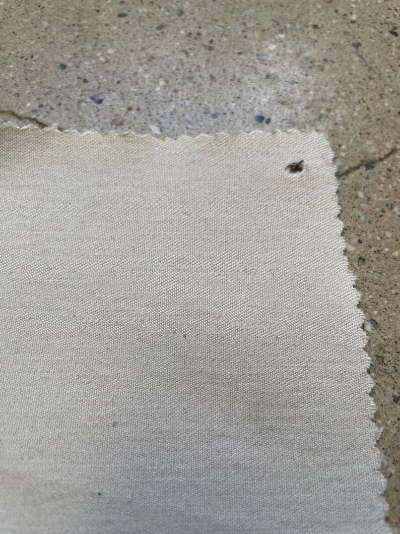 May include: A close-up of a piece of off-white fabric with a slightly textured surface. The fabric has a scalloped edge and a small hole in the upper right corner.