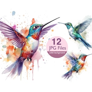 Watercolor Hummingbird Clipart: 12 JPG Files for Scrapbooking (Digital Download)