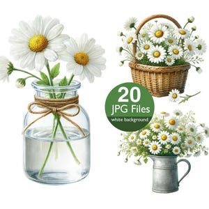 Clipart Marguerite, clipart aquarelle JPG Daisy fleur, faire-part de mariage floral, pot de marguerites, pour un usage commercial de journal indésirable