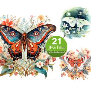Motte Illustrationen Clip Art, JPG Schmetterling Aquarell Schmetterlinge, Junk Journal, Scrapbook Lieferungen