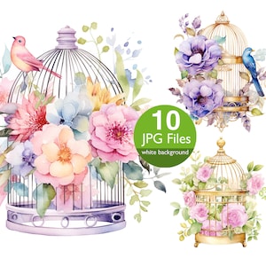 Clipart de gaiola de pássaro, clipart de pássaro floral em aquarela JPG, gaiola floral para convite, planejador, diário de lixo adesivo, álbum de recortes