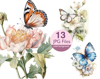 May include: Watercolor illustration of a bouquet of white flowers with two butterflies. One butterfly is orange and black, the other is blue. The text "13 JPG Files solid background" is in a pink circle.