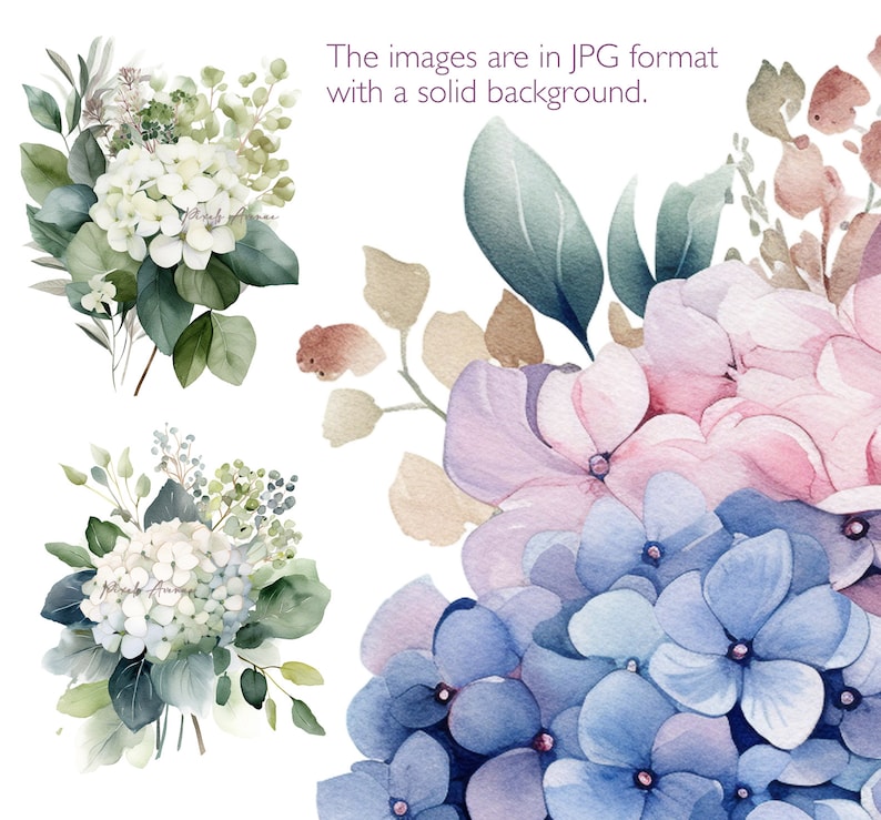 Hydrangea Clip Art JPG White Blue Pink Hydrangeas Flower - Etsy