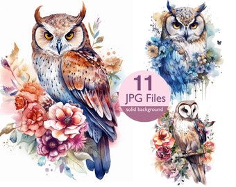 Watercolor Floral Owl Clipart: 11 JPG Files for Scrapbooking (Digital Download)