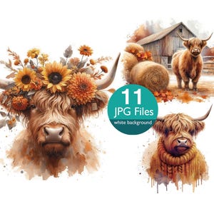 May include: A digital illustration of three Highland cows. The first cow is wearing a crown of fall-colored flowers. The second cow is standing in a field with hay bales and a wooden barn. The third cow is wearing a brown sweater. All three cows are on a white background.