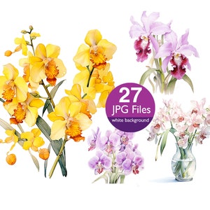 May include: A digital illustration of 27 watercolour orchid flowers with white backgrounds. The flowers are in various shades of pink, yellow, and purple.