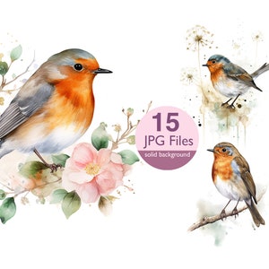 Bird Robin clip art, JPG watercolor birds clipart,  paper crafts, invitation, planner, sticker junk journal, Scrapbook