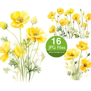 Boterbloem bloemen illustraties, JPG gele bloemen aquarel clipart, bloemen voor huwelijksuitnodiging, planner, sticker ongewenste dagboek