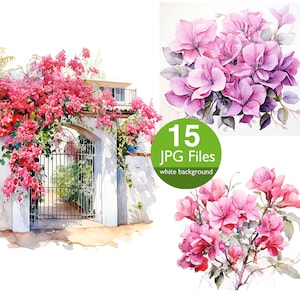 Bougainvillea Blume ClipArt, JPG Blumen Aquarell Clipart, floral, Junk Journal, Card Making