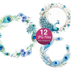 Clipart de cadre de paon, clipart d'oiseaux aquarelle JPG, artisanat en papier plume, invitation, planificateur, journal indésirable d'autocollants, Scrapbook