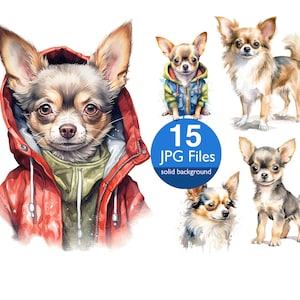 Chihuahua clip art, JPG puppy watercolor puppies clipart, dog, invitation, planner, sticker junk journal