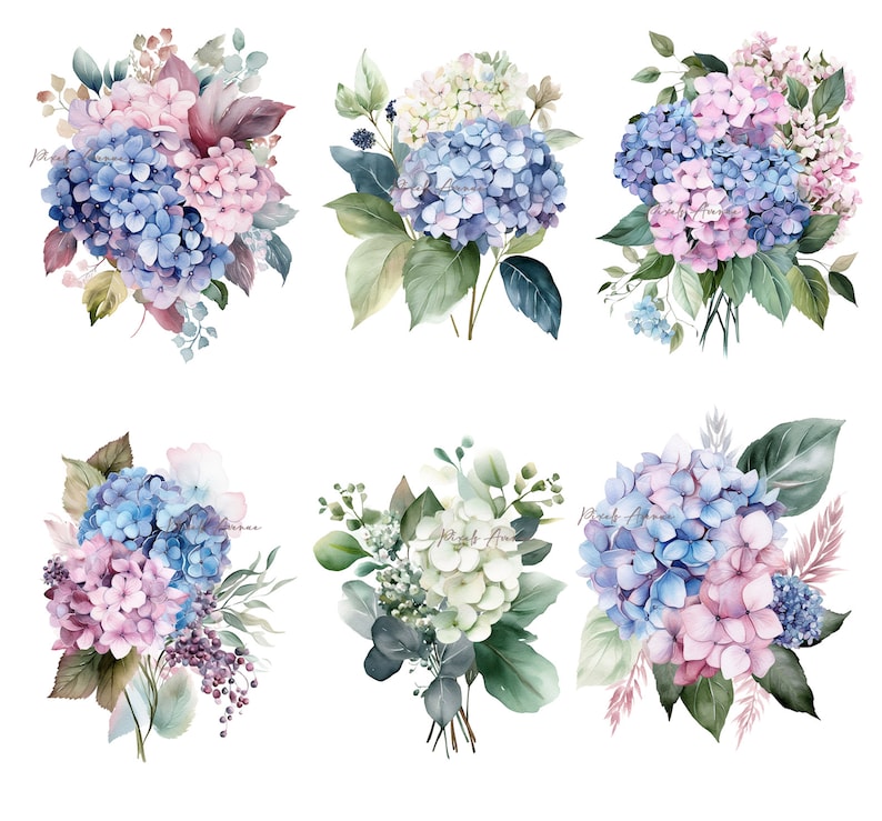 Hydrangea Clip Art JPG White Blue Pink Hydrangeas Flower - Etsy