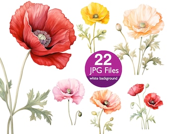 Clipart aquarel klaproos: grafische bloemen bruiloft uitnodiging (22 JPG-bestanden)