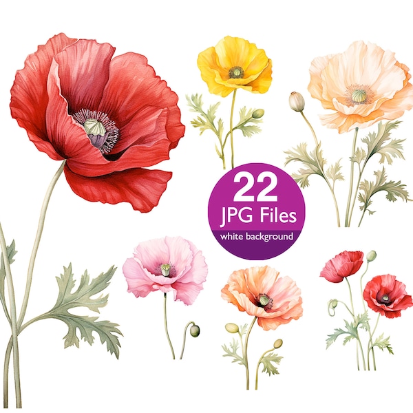 Watercolor  Poppy flower clip art, JPG poppy flowers with stem clipart, flowers for wedding invitation, planner, sticker junk journal