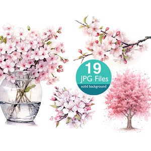 Sakura clip art, clip art, vaso de flores JPG, clipart aquarela, floral, flores de cerejeira japonesas, ramos de flores, uso comercial